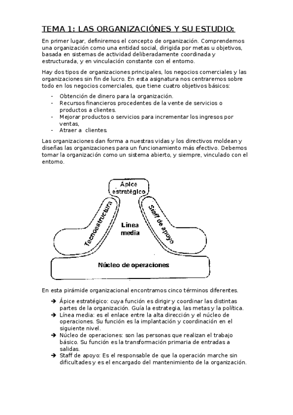 Miniatura del documento TEMA 1 APUNTES MÍOS.docx