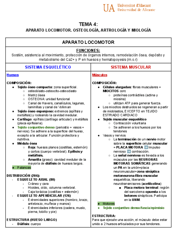Miniatura del documento ESQUEMA-aparato-locomotor-TEMA-4.pdf