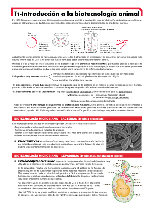 Miniatura del documento BIOTEC-ANI-T1.pdf