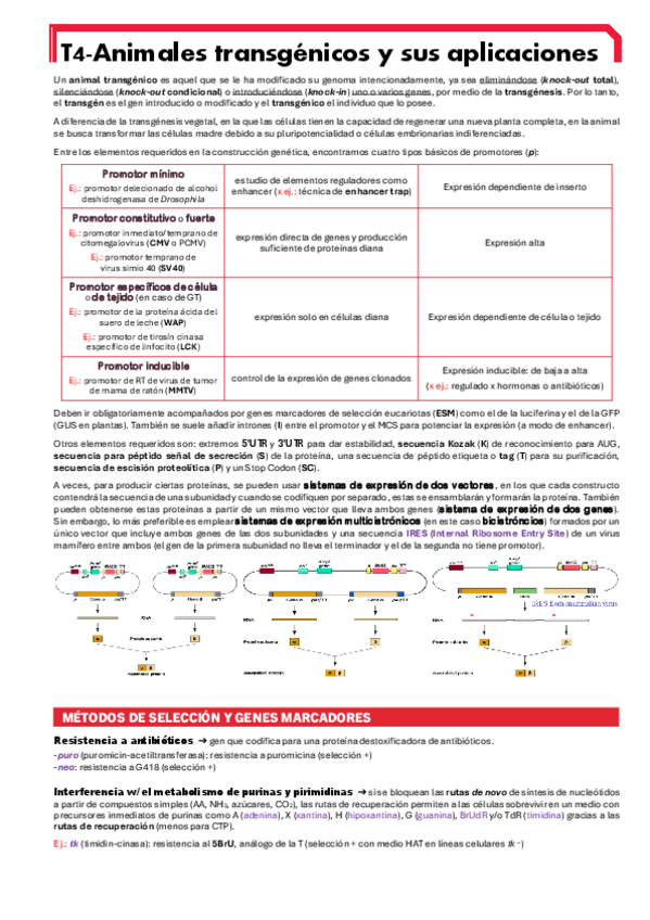 Miniatura del documento BIOTEC-ANI-T4.pdf