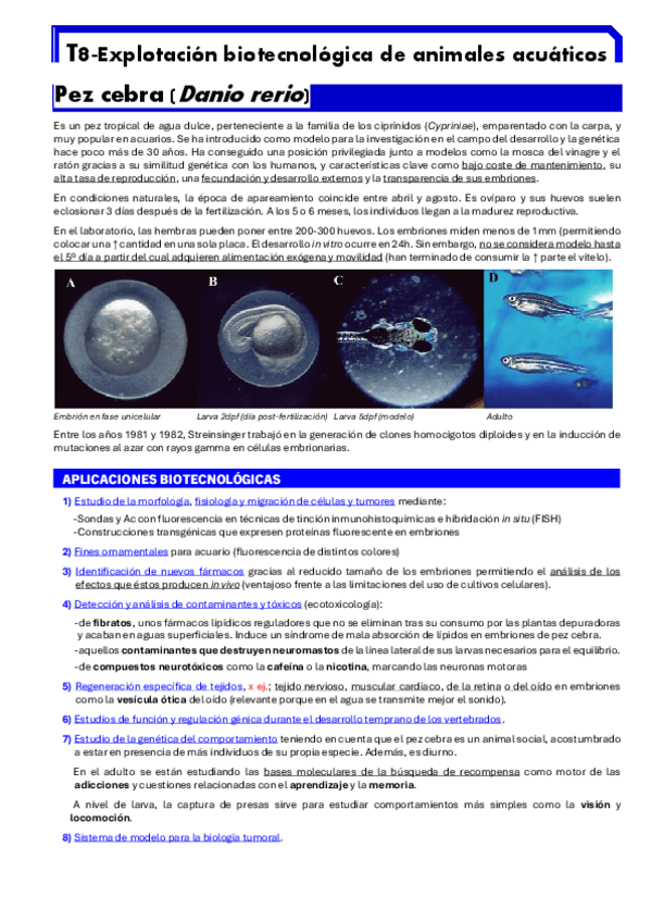 Miniatura del documento BIOTEC-ANI-T8.pdf