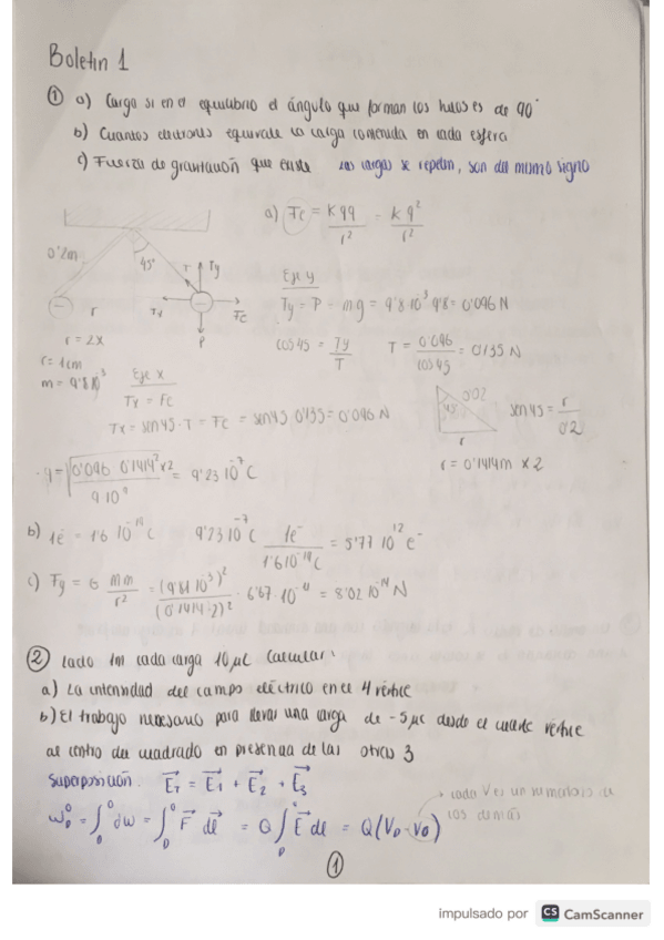 Miniatura del documento boletin-1-y-2.pdf