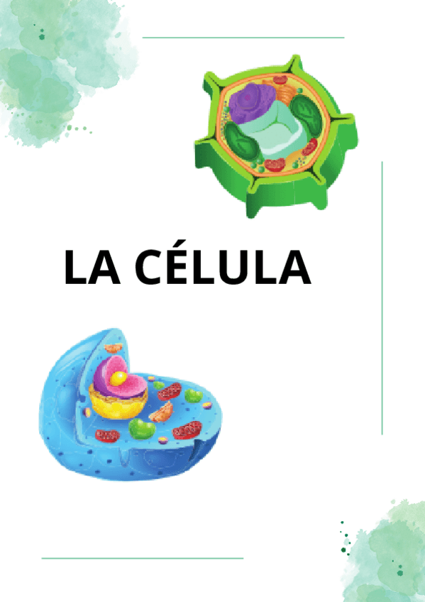 Miniatura del documento LA-CELULA-apuntes-examen.pdf