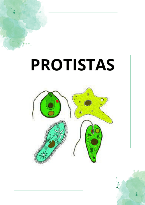Miniatura del documento PROTISTAS-apuntes-examen.pdf