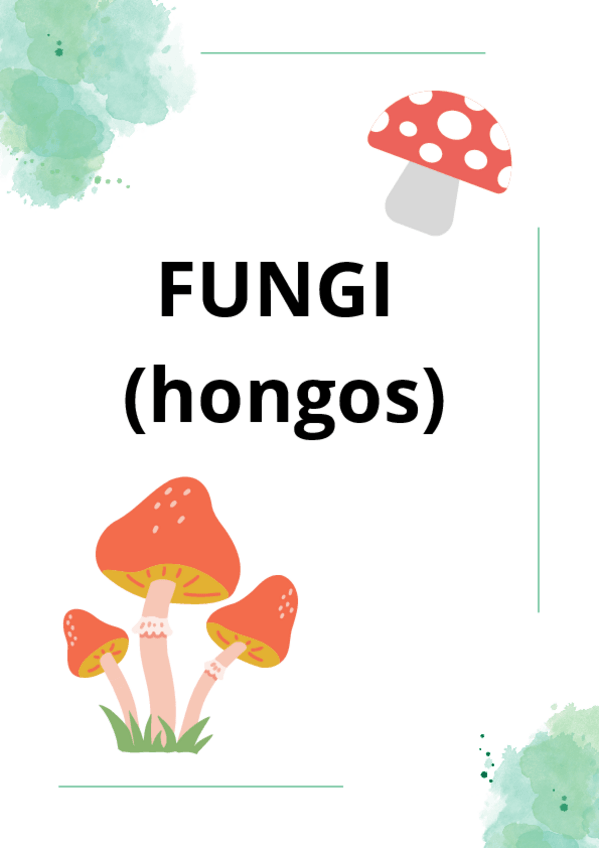 Miniatura del documento FUNGI-hongos-apuntes-examen.pdf
