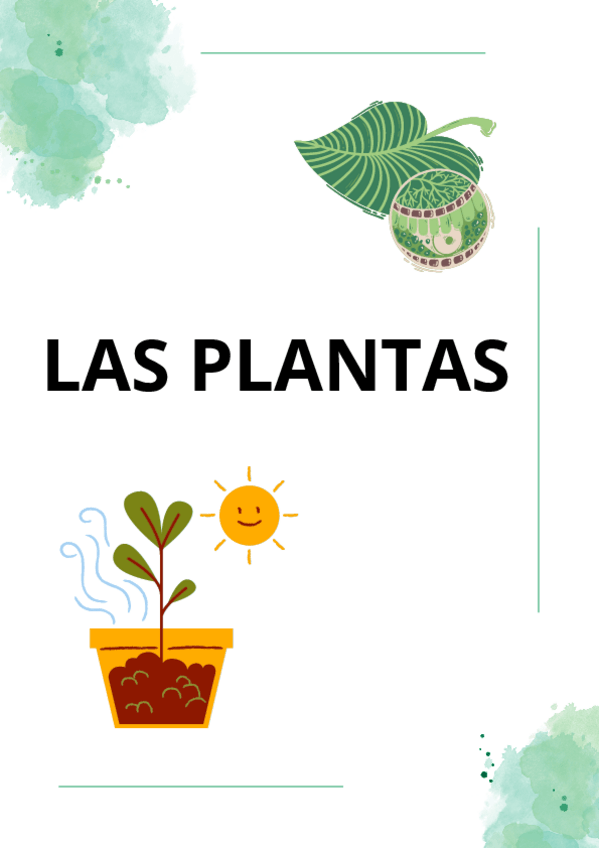 Miniatura del documento LAS-PLANTAS-apuntes-examen.pdf