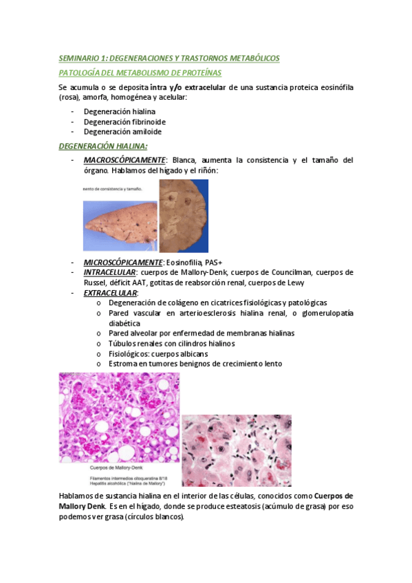 Miniatura del documento SEMINARIOS-ANATOPATO.pdf