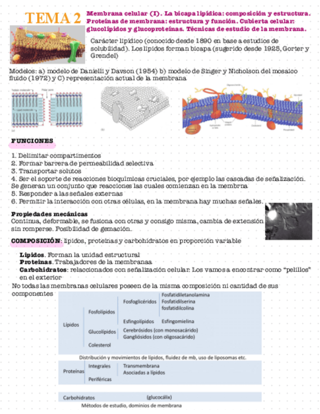 Miniatura del documento Tema-2.pdf