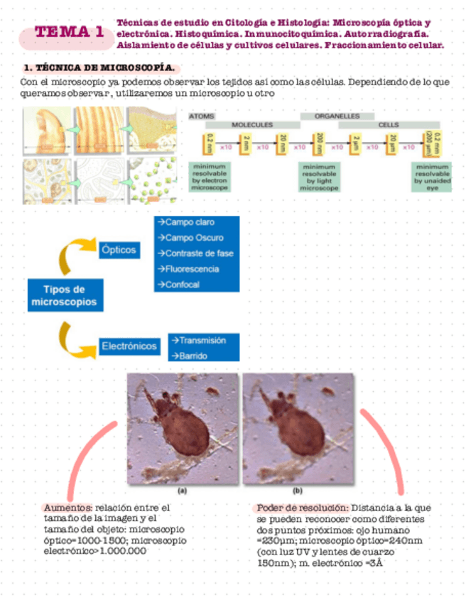 Miniatura del documento Tema-1.pdf