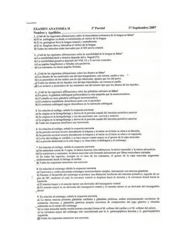 Miniatura del documento MORFO-2n-PARCIAL-2007.pdf