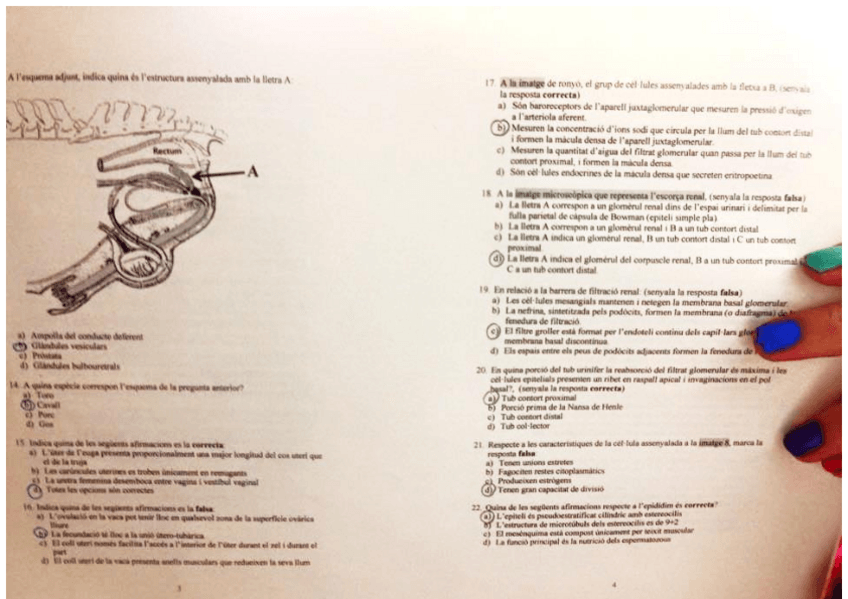 Miniatura del documento MORFO-2n-PARCIAL-2014.pdf