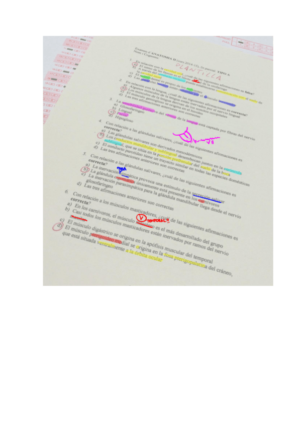 Miniatura del documento MORFO-2n-PARCIAL-2014-2015.pdf