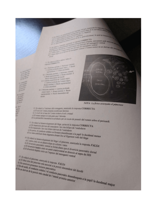 Miniatura del documento MORFO-2n-PARCIAL-2017-2018.pdf