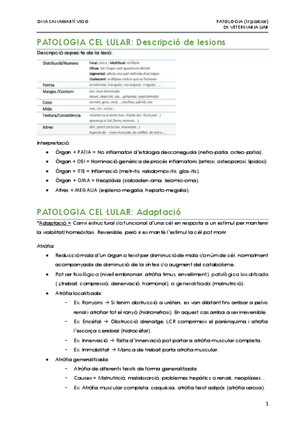 Miniatura del documento APUNTS-1r-PARCIAL-PATOLOGIA.pdf