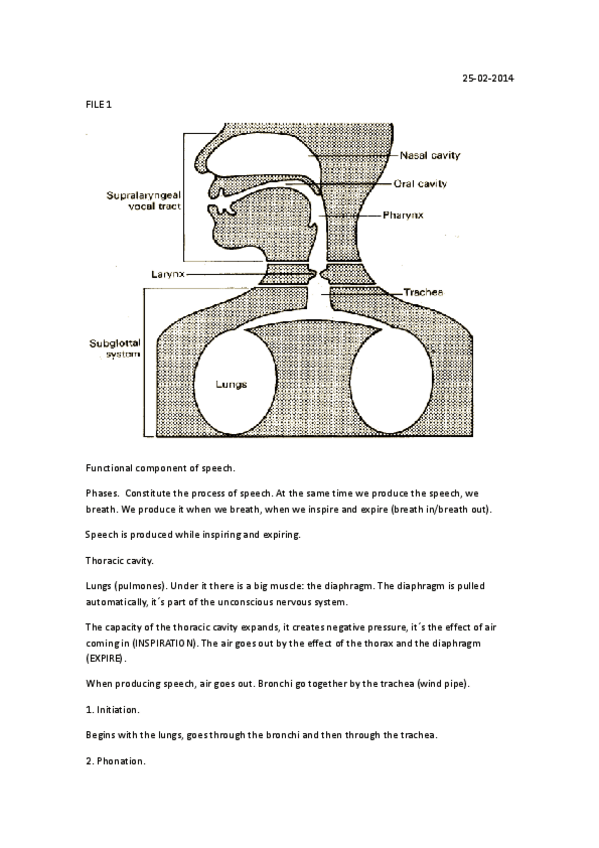 Miniatura del documento Apuntes.pdf