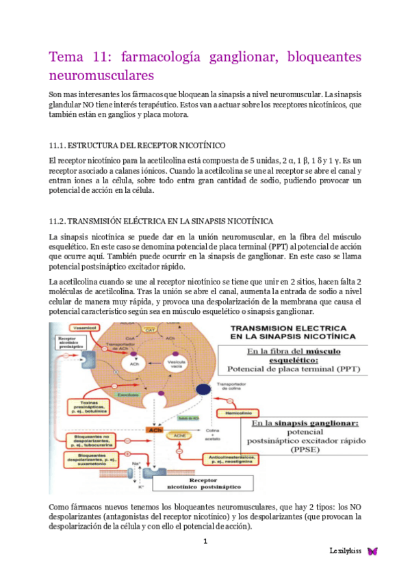 Miniatura del documento Tema 11 Farma II.pdf