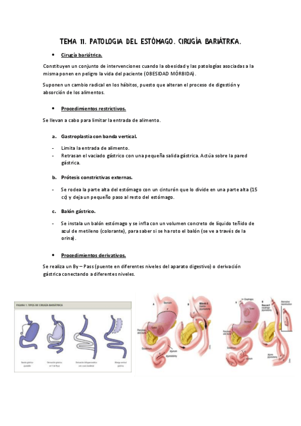 Miniatura del documento Apuntes 11 Adulto II.pdf