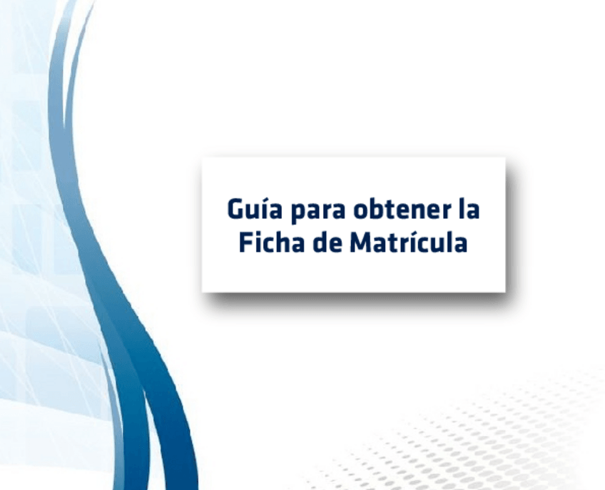 Miniatura del documento Guia.pdf