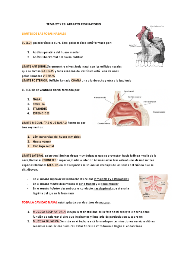 Miniatura del documento TEMA-27-Y-28-APARATO-RESPIRATORIO-copia.pdf