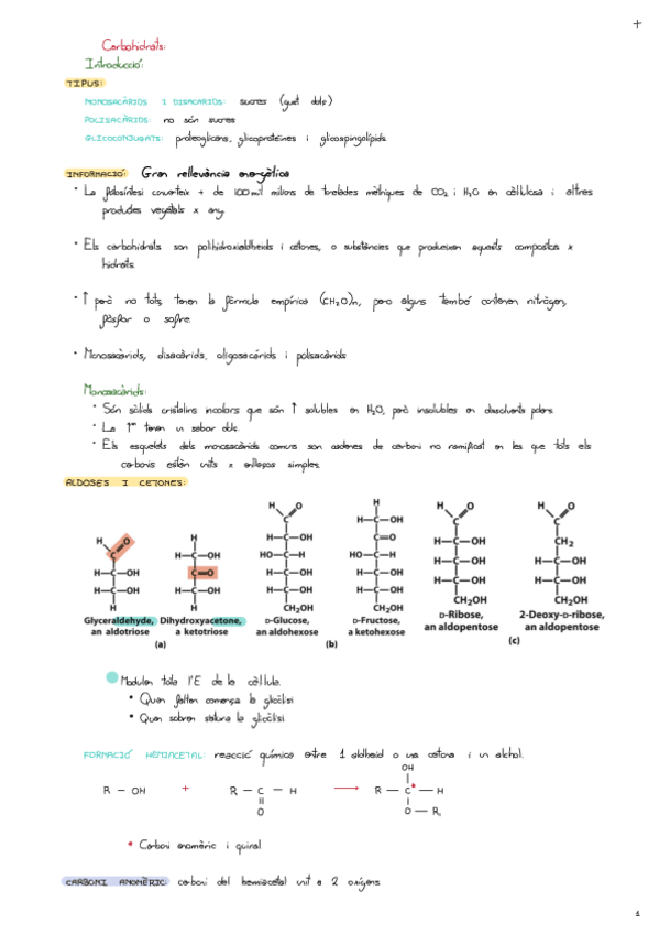 Miniatura del documento Carbohidratos.pdf