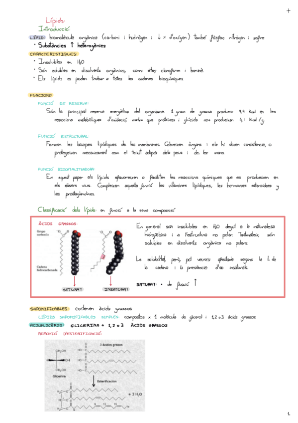Miniatura del documento Lipids.pdf
