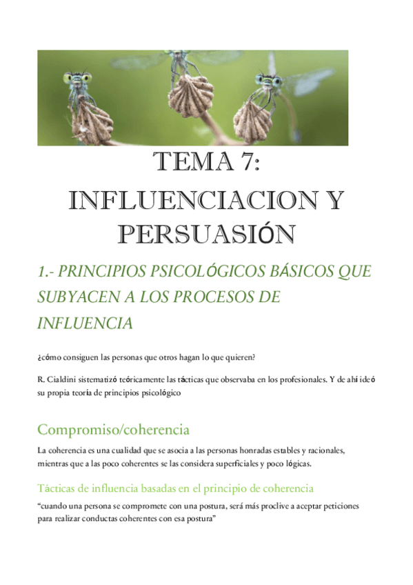 Miniatura del documento RESUMEN-PSICO-SOCIAL-tema-7.pdf