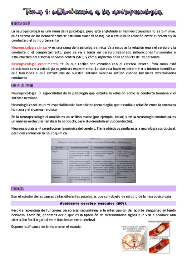 Miniatura del documento Tema-1-neuropsicologia.pdf