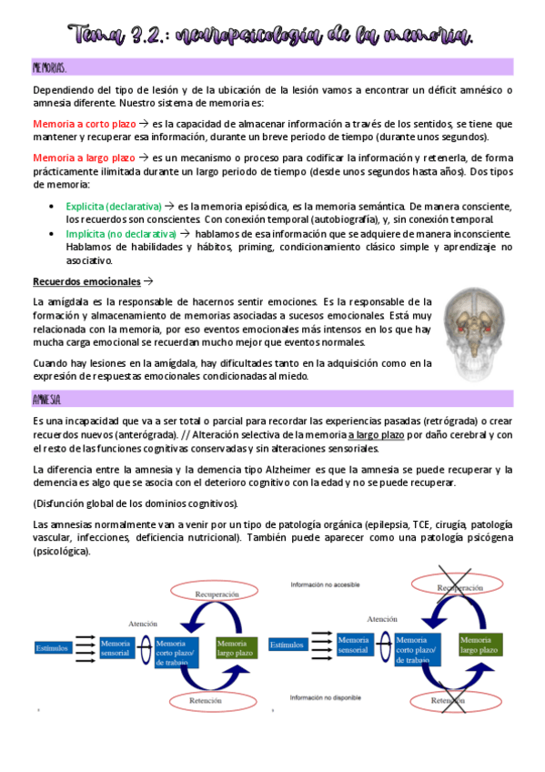 Miniatura del documento Tema-3.2-neuropsicologia.pdf