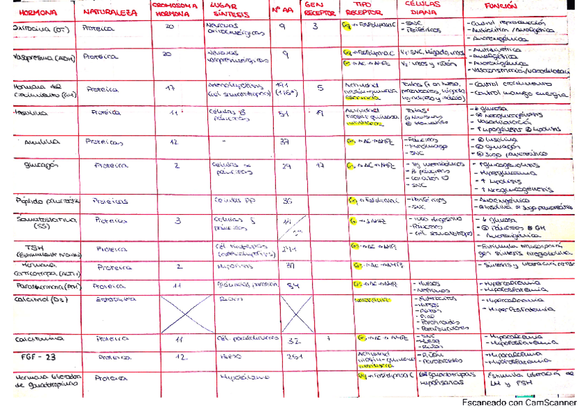 Miniatura del documento Tabla-hormonas-1.pdf