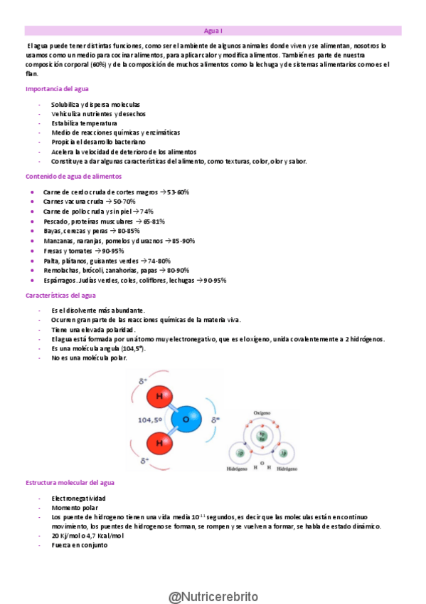 Miniatura del documento C-Agua-y-soluciones-Nutricerebrito.pdf