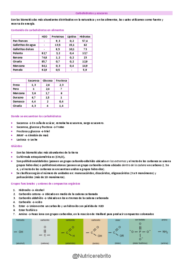 Miniatura del documento H-Carbohidratos-y-azucares-Nutricerebrito.pdf