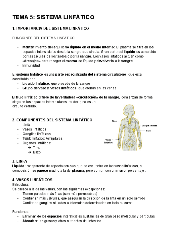 Miniatura del documento ANATOMIA-TEMA-5.pdf