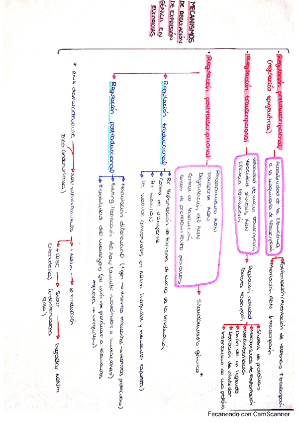 Miniatura del documento Mecanismos-de-regulacion-de-expresion-genica-en-eucariotas.pdf