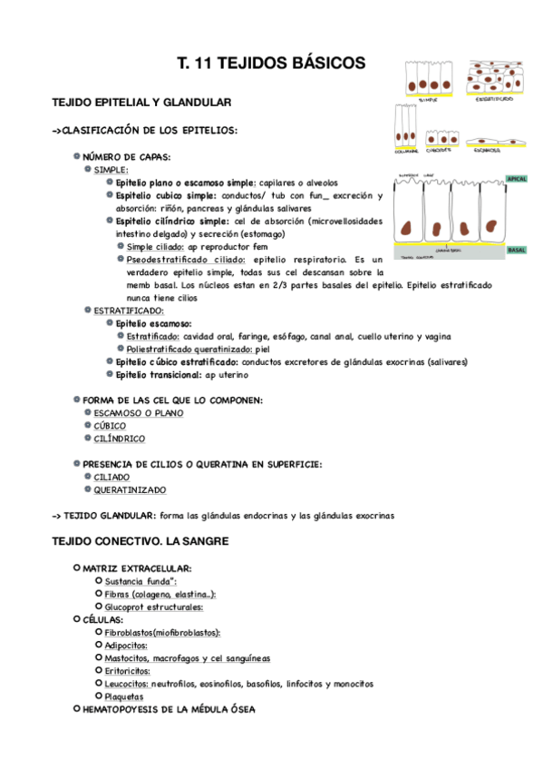 Miniatura del documento T.11-TEJ-BASICOS.pdf