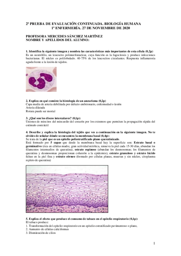 Miniatura del documento PECBiologia-Mercedes-corregido.pdf