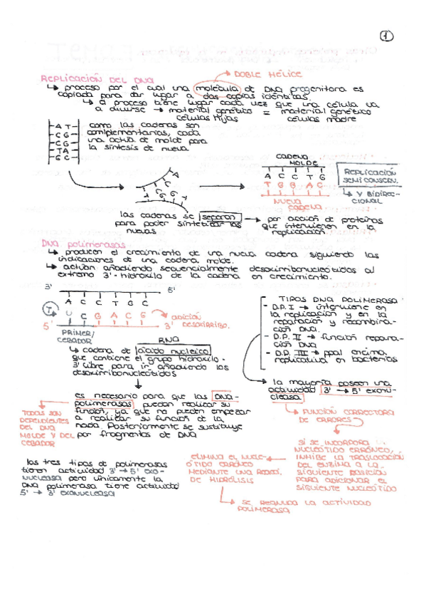 Miniatura del documento Temas 7- 8 y 9.pdf
