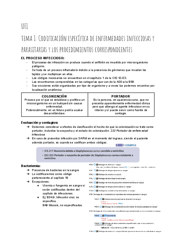 Miniatura del documento APUNTES-COMPLETOS-M07-CODIFICACION-SANITARIA.pdf