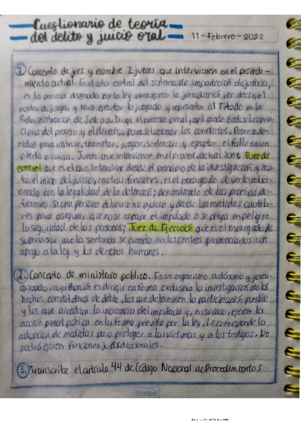 Miniatura del documento Cuestionario-teoria-del-delito-y-juicio-oral.pdf