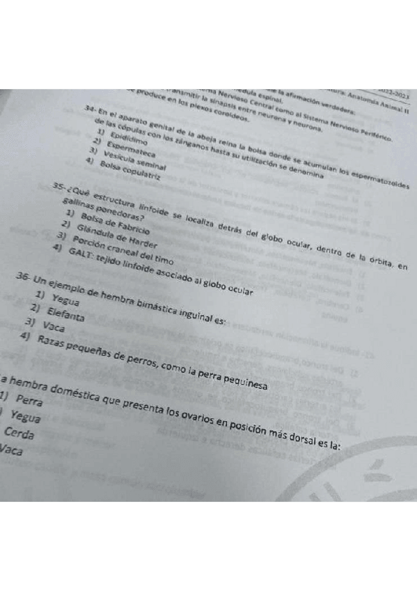Miniatura del documento EXAMEN-ANATOMIA-2-JUNIO-2023.pdf