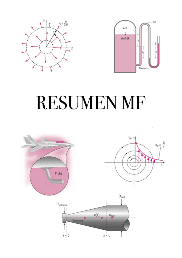 Miniatura del documento RESUMEN-MF.pdf