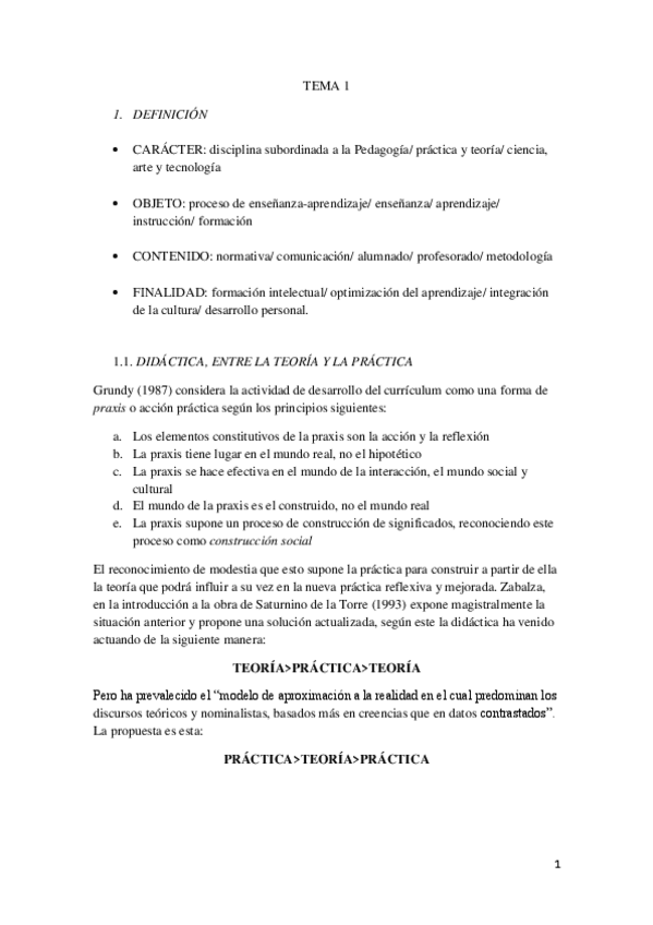 Miniatura del documento DIDACTICA-TEMA-1.pdf