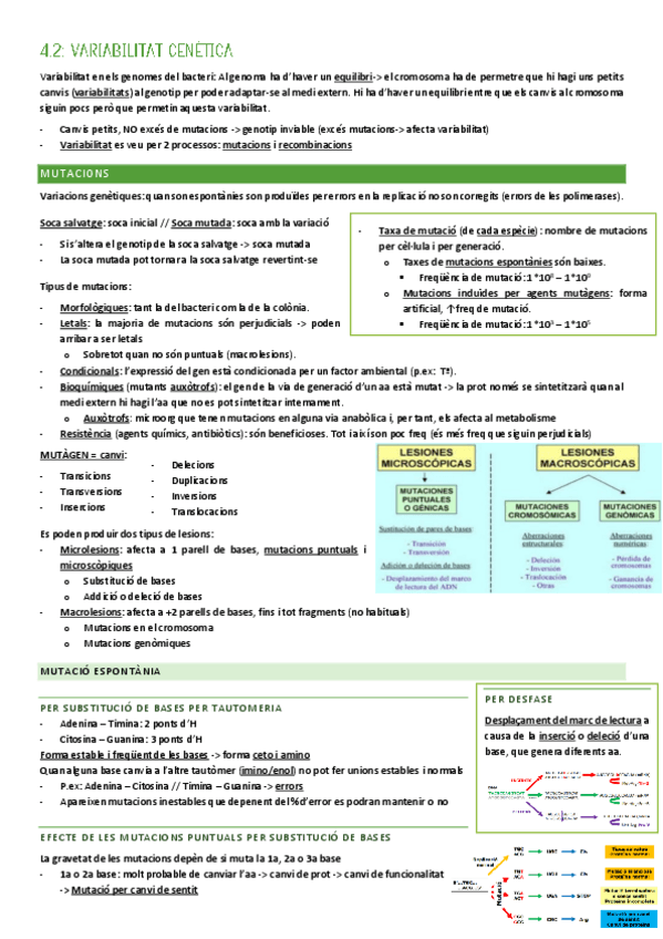 Miniatura del documento MICRO-TEMA-4.2-Variabilitat-genetica.pdf