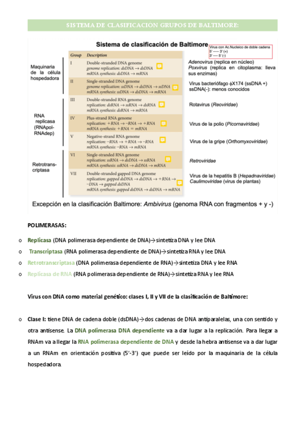 Miniatura del documento Sistema de Clasificación Grupos de Baltimore.pdf
