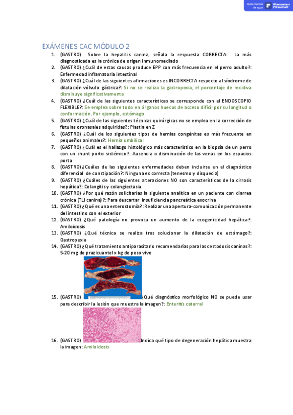 Miniatura del documento modulo-2-recopilacion-preguntas-examenes.pdf