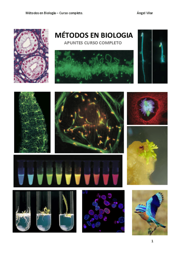 Miniatura del documento Métodos (Curso entero).pdf