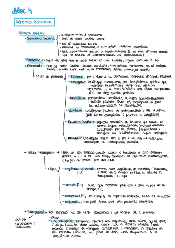Miniatura del documento bloc-4-Resum.pdf