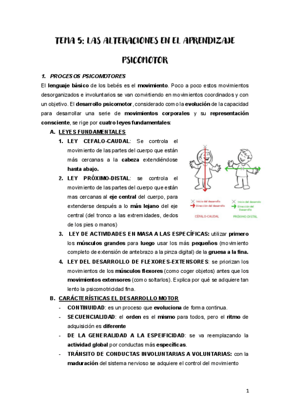 Miniatura del documento TEMA-5.pdf