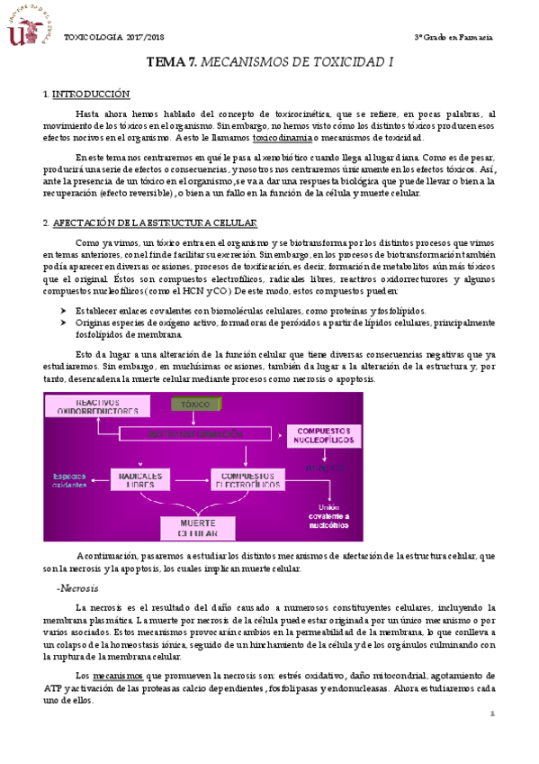 Miniatura del documento TEMA 7 MECANISMOS DE TOXICIDAD I.pdf