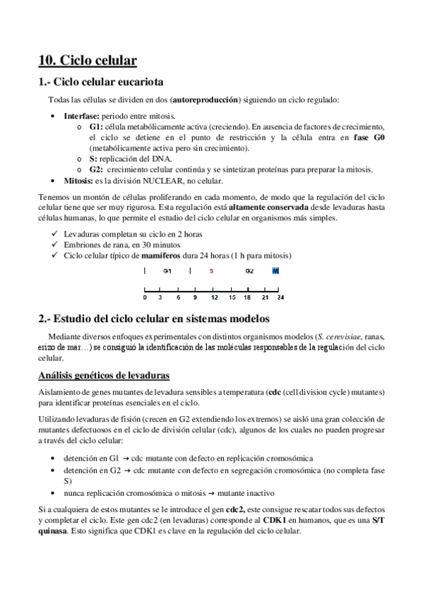Miniatura del documento 10.-Ciclo-celular.pdf