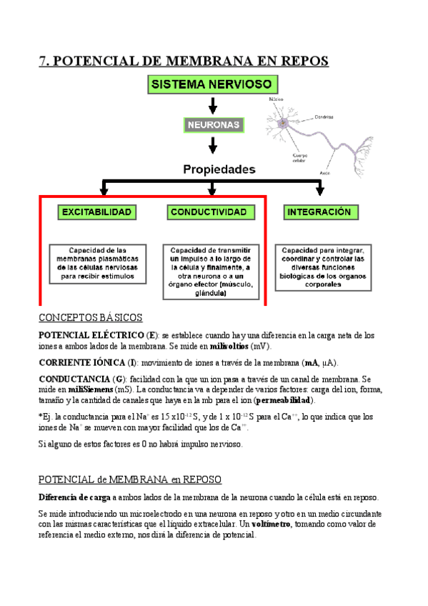 Miniatura del documento 07.-Potencial-de-membrana-en-reposo.pdf